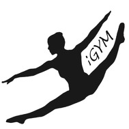 iGym Gymnastics School Logo / Profile Picture