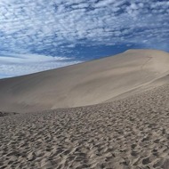 jack School Logo / Profile Picture