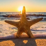 生 School Logo / Profile Picture