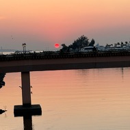 Catherine Tutor Profile Picture