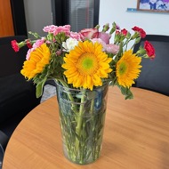 chen Tutor Profile Picture