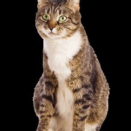 Katie Tutor Profile Picture