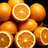 Sable Tutor Profile Picture